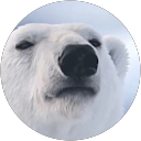 Curtis profile picture