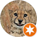 Sandy Vitrano profile picture