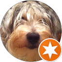 Lorie Lisius profile picture