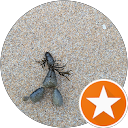 Shamsher Mann profile picture