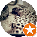 kristy s profile picture
