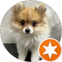 Ty N profile picture