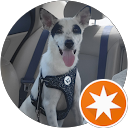 Michael Levine profile picture