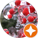 Joe Stocker profile picture