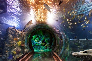 SEA LIFE Grapevine Aquarium place picture