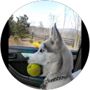 John Mendoza profile picture
