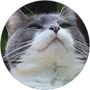 Trish Wyderka profile picture