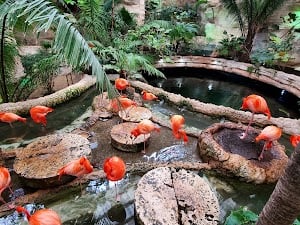 The Dallas World Aquarium place picture