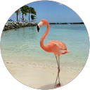 Brooke Haygood profile picture