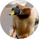 Jjjjackk profile picture