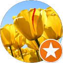 Debra Danielson Corbo profile picture