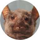 Cody Martin profile picture