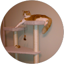 Vincy Hope profile picture