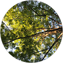 Zipporah Richie profile picture