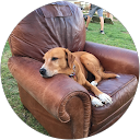 Jeff G. profile picture