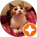 Janet M. Rortvedt profile picture