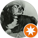 renegadegeeK profile picture