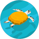 Tien Thy Ai profile picture