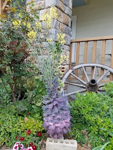 Jefferson Street Bed and Breakfast Inn place picture