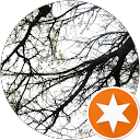 Ayesha B profile picture