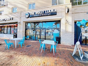 The Dolly Llama place picture