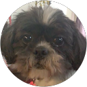Myiza M profile picture