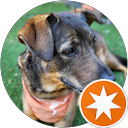 Miguel Saavedra profile picture