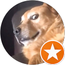 Sven Sharpsword profile picture