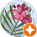 Ruth Verona profile picture