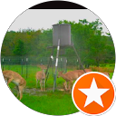 Jo Scarface_01 profile picture