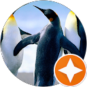 Teresa Rose profile picture