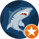 Ricardo Moron profile picture