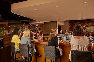 Malai Kitchen place picture