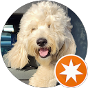 Admin Gideon profile picture