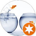 Shari B profile picture