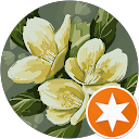 Kiara Funes profile picture