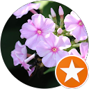 Robin Macke profile picture