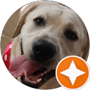 Ashton Brooks profile picture