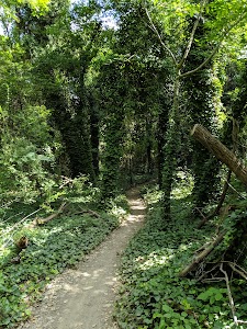 Oak Cliff Nature Preserve place picture
