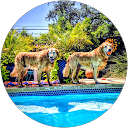 Bobby Underwood profile picture