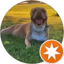 Justin Daniels profile picture