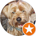 Edimerc Merchan profile picture