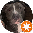 Butterfly 13 profile picture