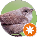 Wren Lee profile picture