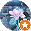 Nicole Radunsky profile picture