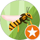 Xiao Ling profile picture