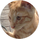 Nerr Nerr profile picture