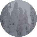 zach leblanc profile picture