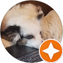 Copperbob profile picture