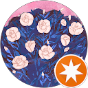Texas Central Princess profile picture